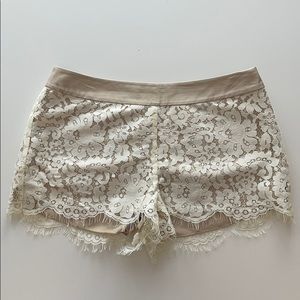 Kensie Lace Short White/Taupe